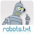 Проект «Robots.txt»